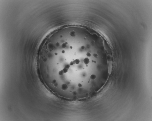 X0000113890992200910081804