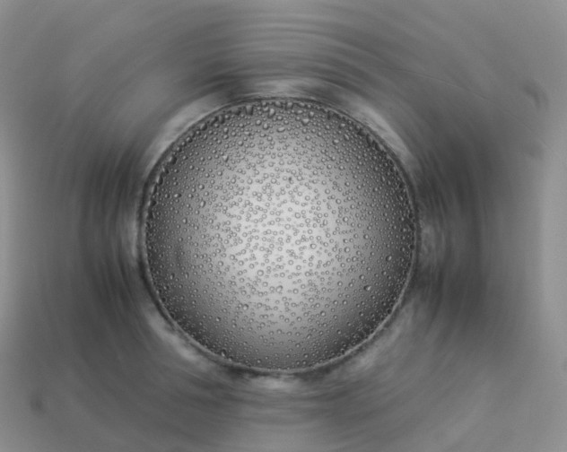 X0000113890994200910081804