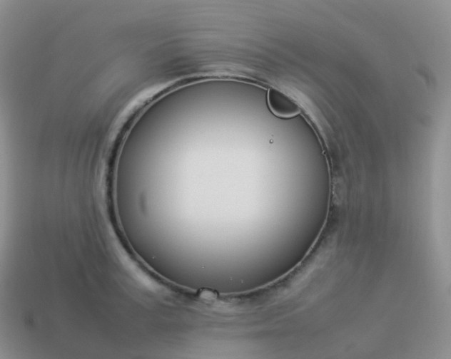 X0000113890995200910081804