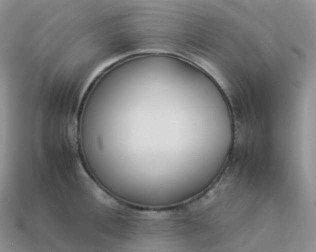 X0000113890996200910081804