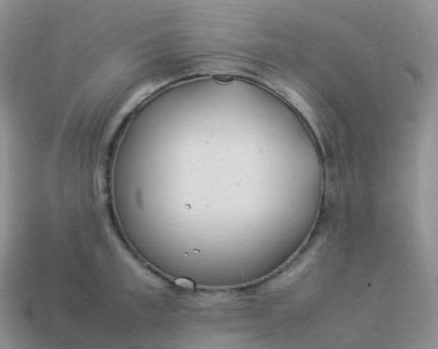 X0000113890997200910081804