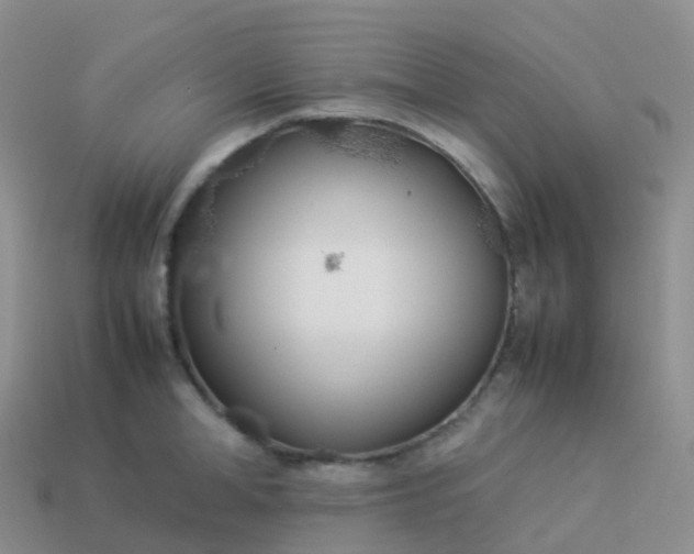 X0000113890998200910081804