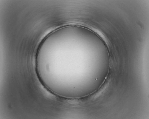 X0000113890999200910081804