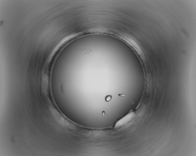 X0000113891000200910081804