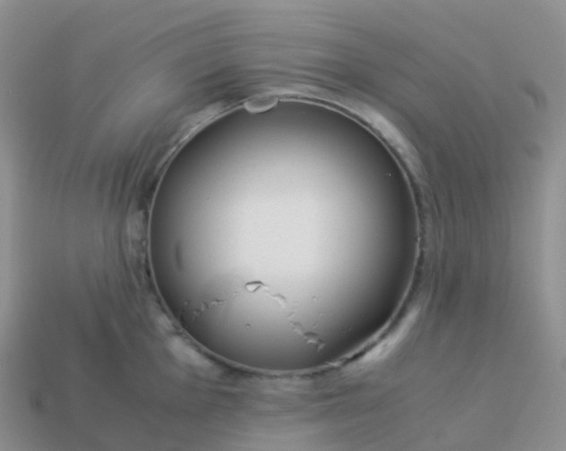 X0000113891001200910081804