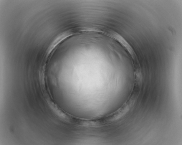 X0000113891002200910081804