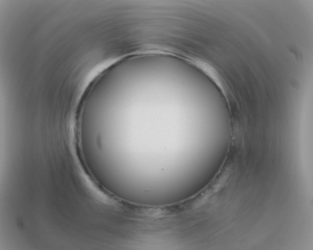 X0000113891003200910081804