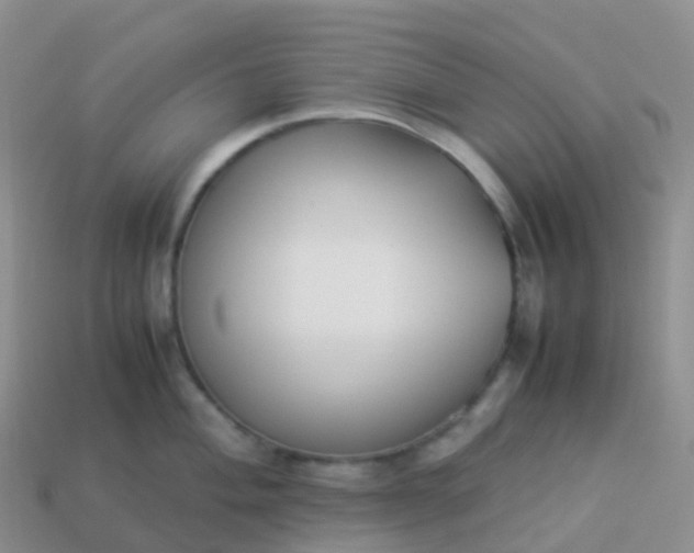 X0000113891004200910081804