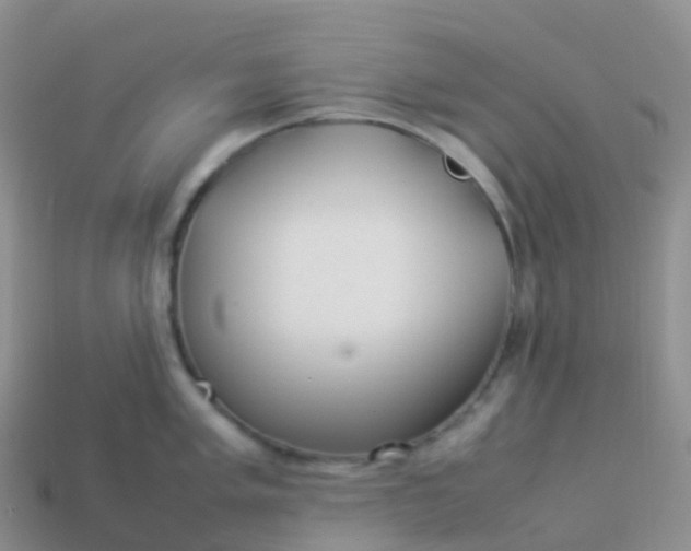 X0000113891005200910081804