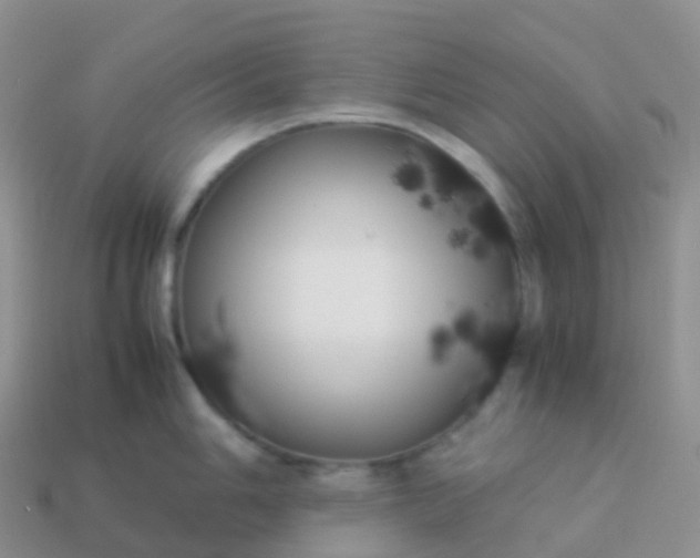 X0000113891006200910081804