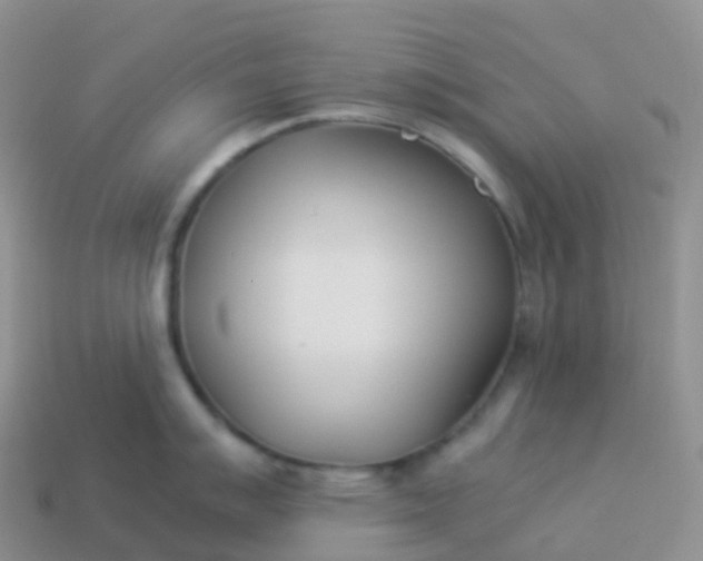 X0000113891007200910081804