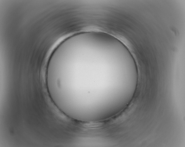 X0000113891008200910081804