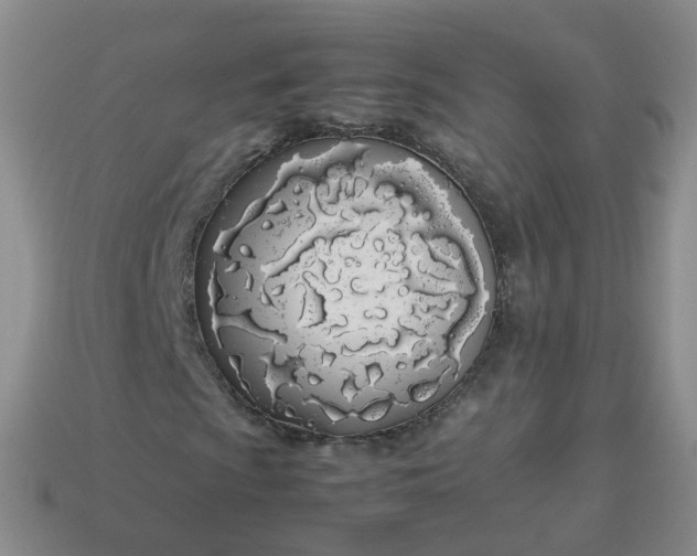 X0000113891009200910081803