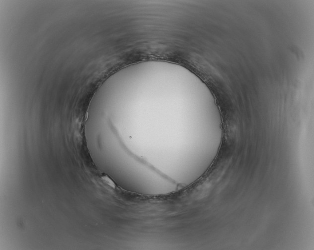 X0000113891010200910081803