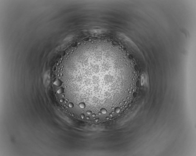 X0000113891011200910081803