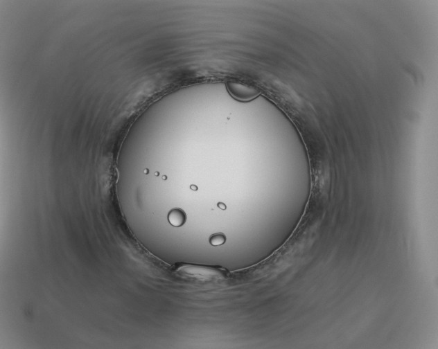 X0000113891012200910081803