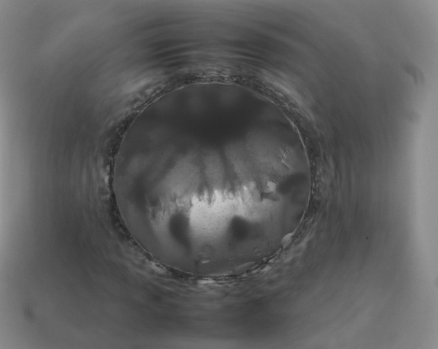 X0000113891013200910081803