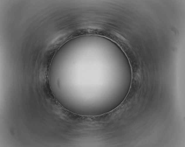 X0000113891014200910081803