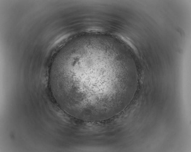 X0000113891015200910081803