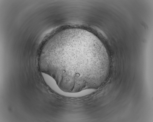 X0000113891016200910081804