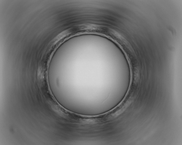 X0000113891017200910081804