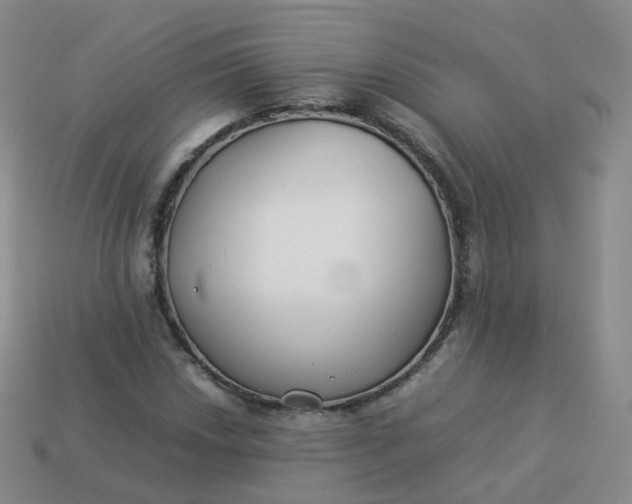 X0000113891018200910081804