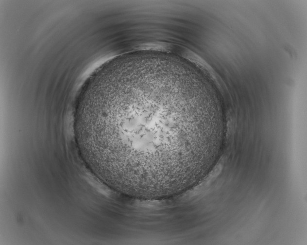 X0000113891019200910081804