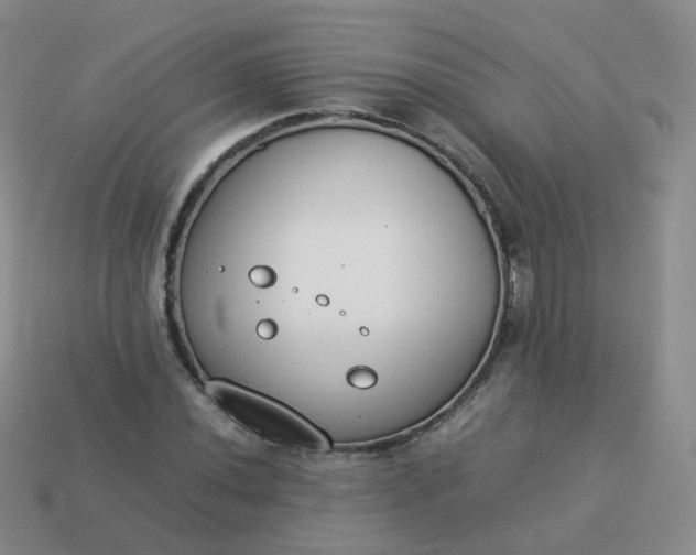 X0000113891020200910081804