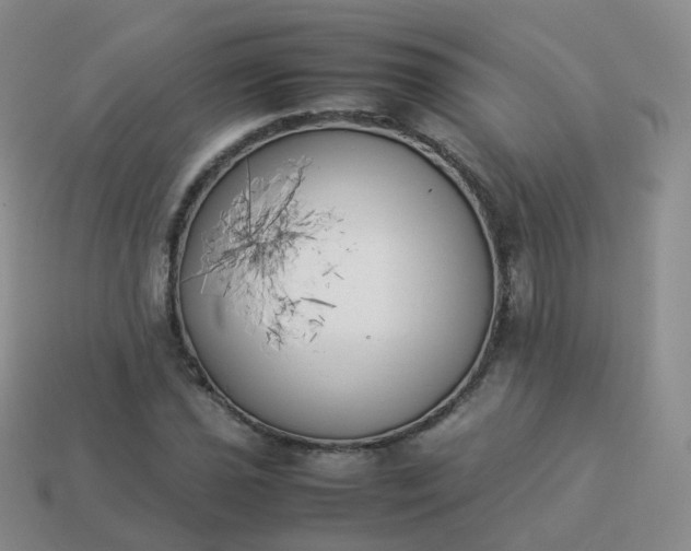 X0000113891021200910081804