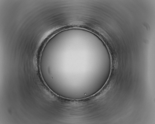 X0000113891022200910081804