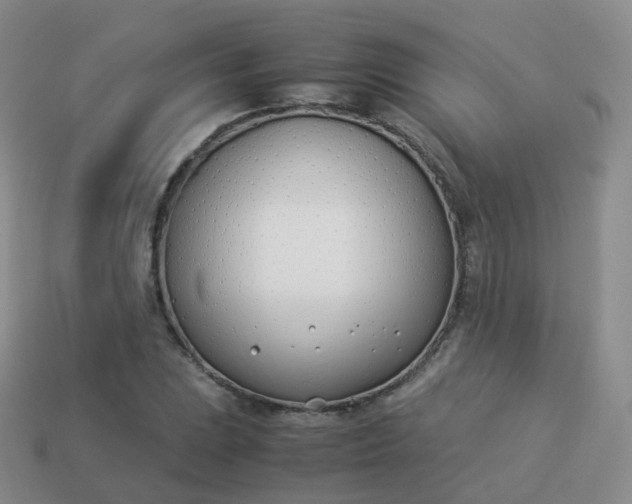 X0000113891023200910081804