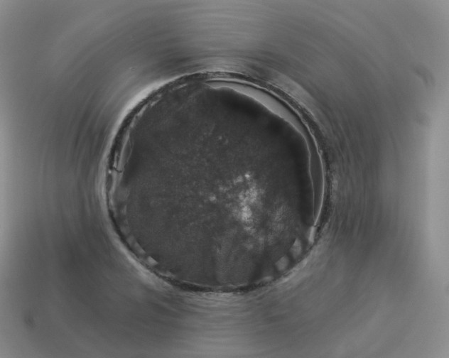 X0000113891024200910081804