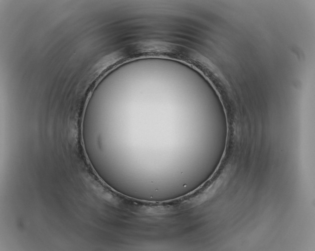 X0000113891025200910081804