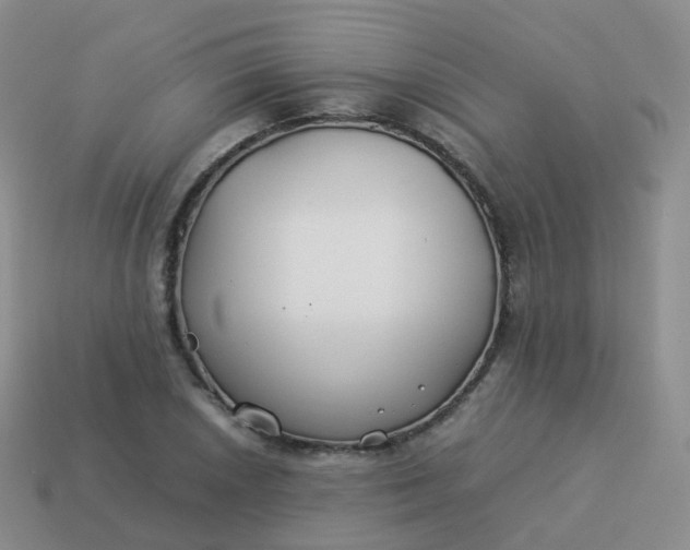 X0000113891026200910081804