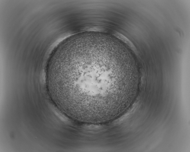 X0000113891027200910081804