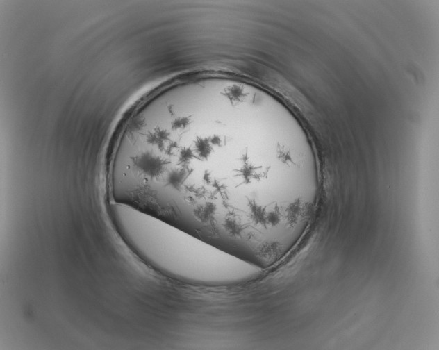 X0000113891028200910081804