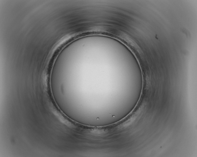 X0000113891029200910081804