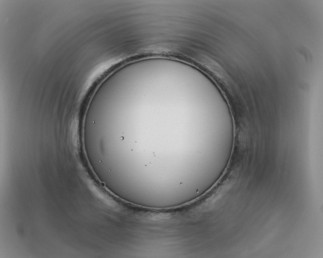 X0000113891030200910081804