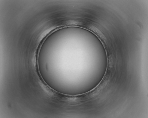 X0000113891031200910081804