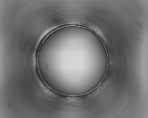 X0000113891032200910081804