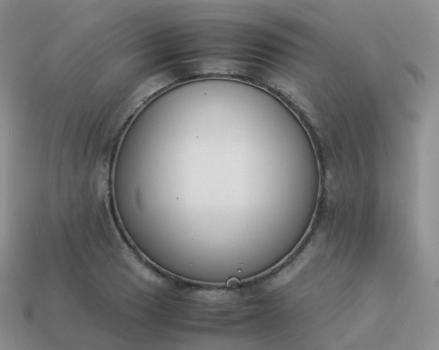 X0000113891033200910081804