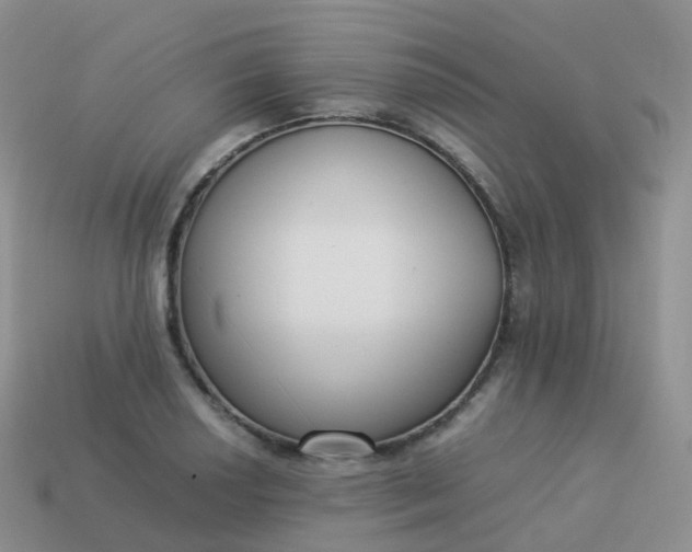 X0000113891034200910081804