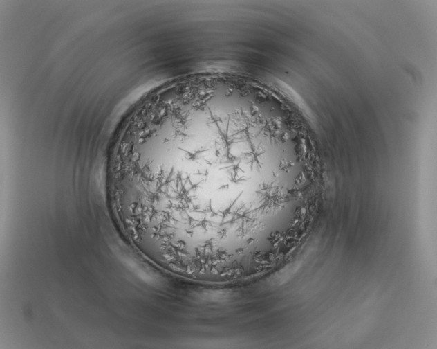 X0000113891035200910081804