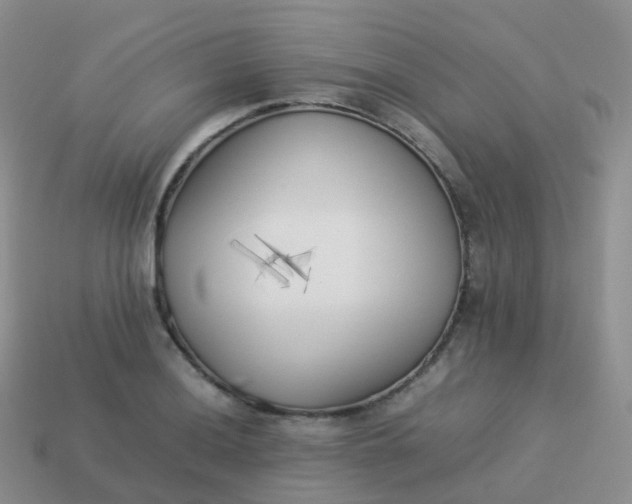 X0000113891036200910081804