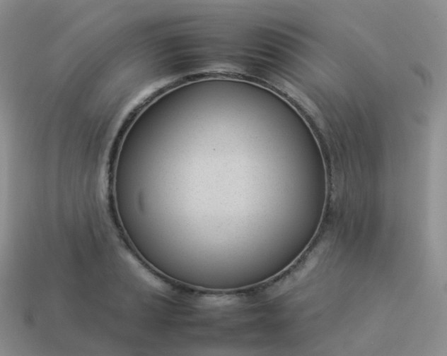 X0000113891037200910081804