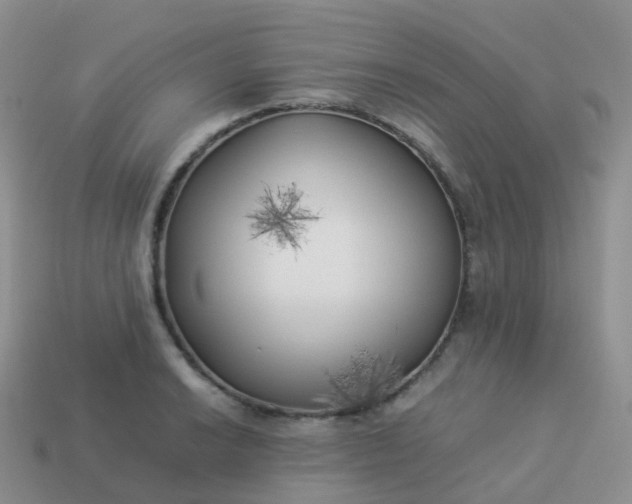 X0000113891038200910081804