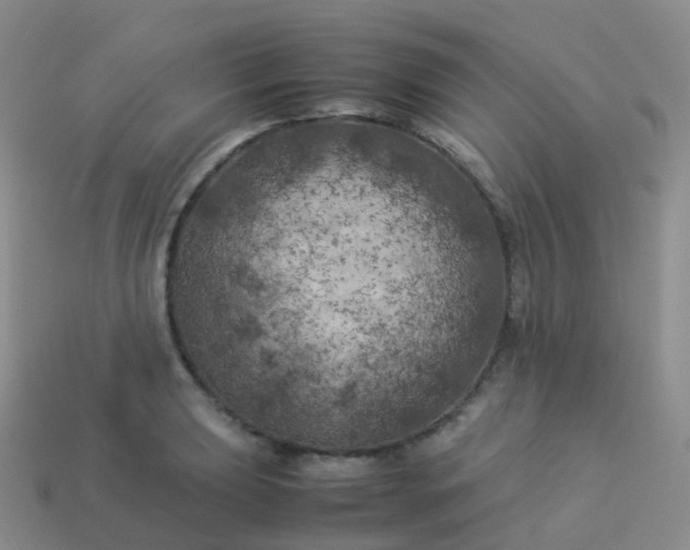 X0000113891039200910081804