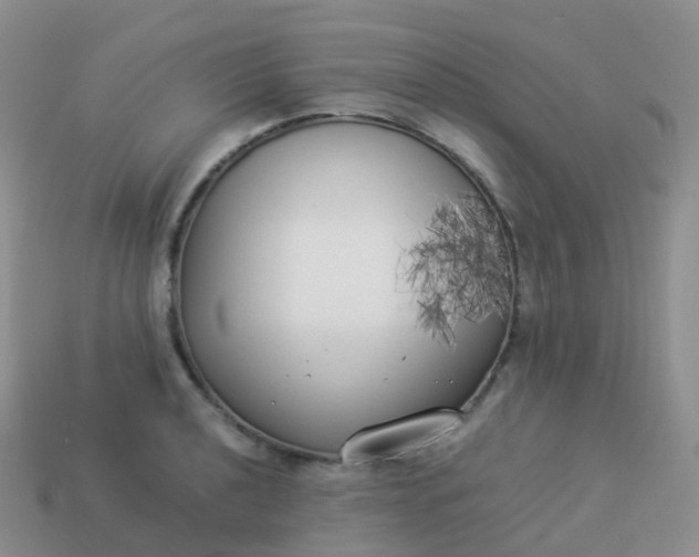 X0000113891040200910081804