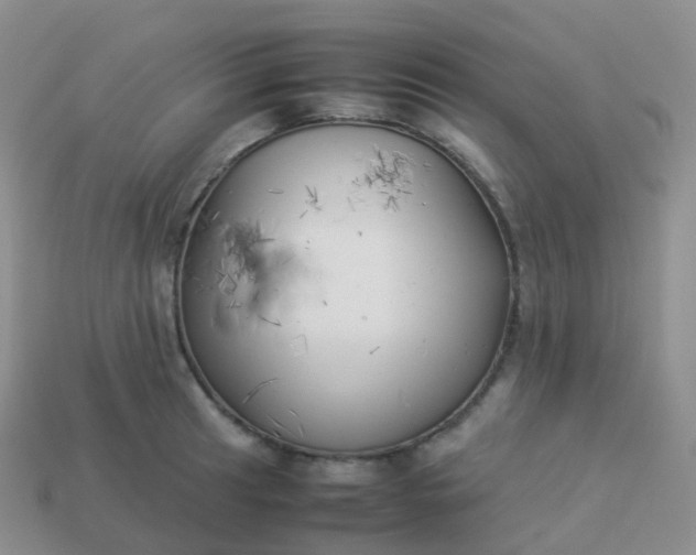 X0000113891041200910081804