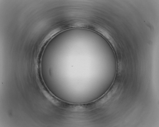 X0000113891042200910081804